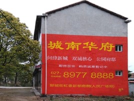 砚山百分之90的人都不了解的农村墙体广告