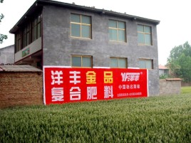 砚山如何让墙体广告展现最大化效果